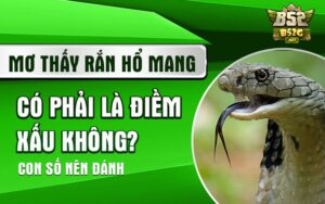 mơ thấy rắn hổ mang